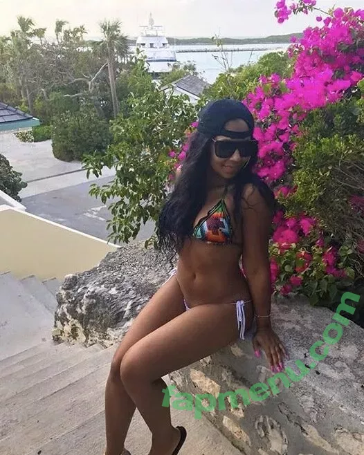 Ashanti nude photo #0078 (shawnababyxxx)