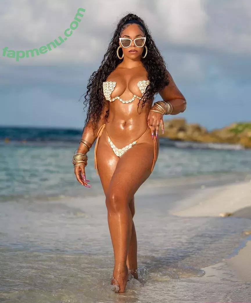 Ashanti nude photo #0374 (shawnababyxxx)