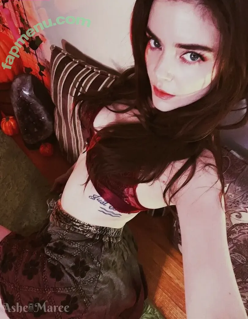 Ashe Maree nude photo #0136 (AsheMareexoxo / KittenIsOdd / ashemaree)