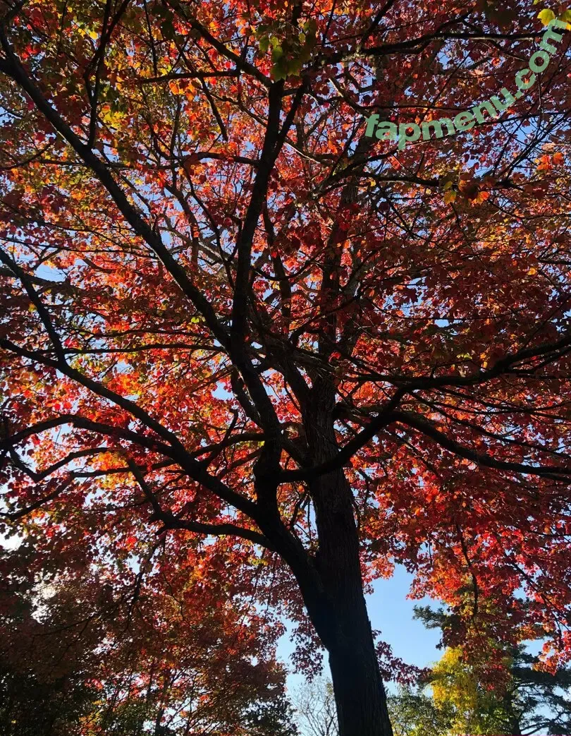 asherah_xxx nude photo #0005 (asherahofficial)