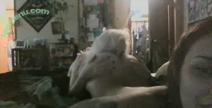 Ashlee Nova / ashleexnova nude photo #0186