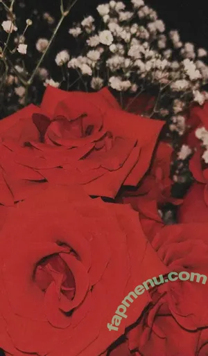 ashleyyy597 / ashleyyyreyyy nude photo #0695