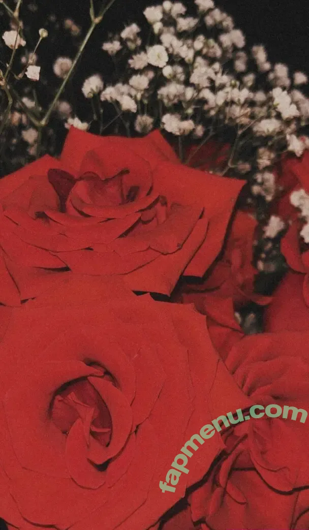 ashleyyy597 nude photo #0695 (ashleyyyreyyy)