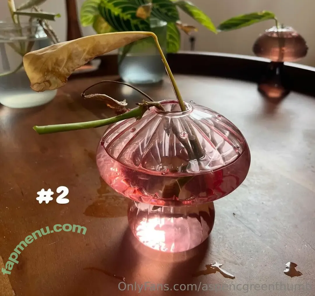 aspencgreenthumb nude photo #0024 (aspencgreenthumb)