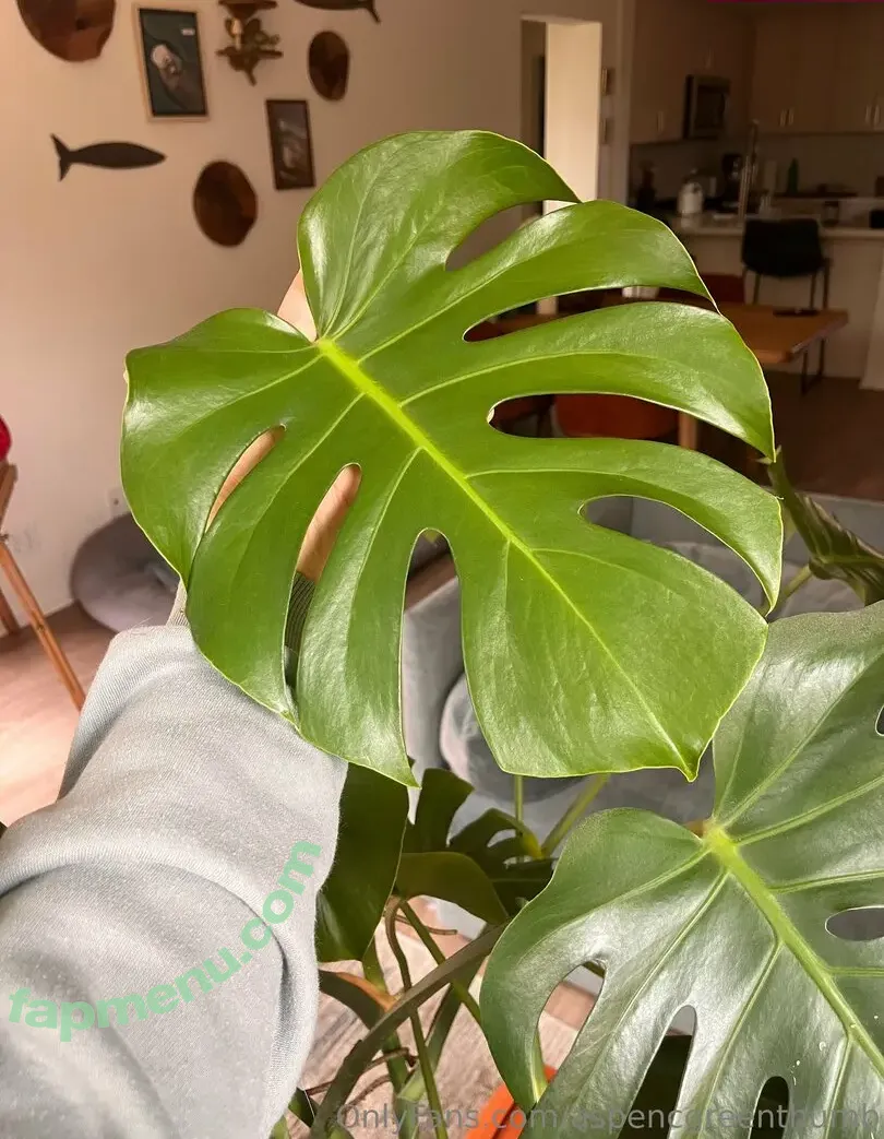 aspencgreenthumb nude photo #0031 (aspencgreenthumb)