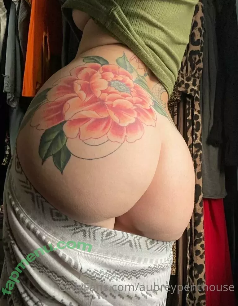 aubreypenthouse nude photo #0157 (peachy_aubrey)