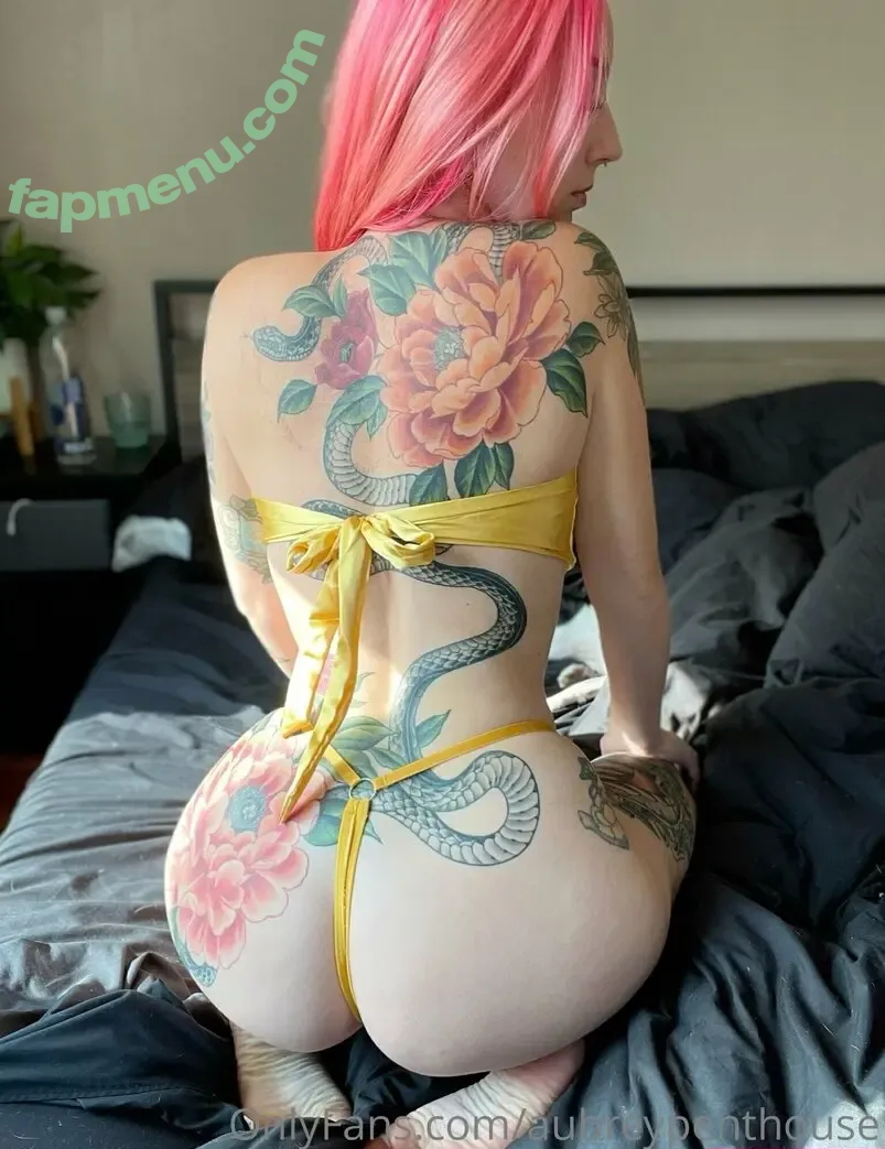 aubreypenthouse nude photo #0310 (peachy_aubrey)