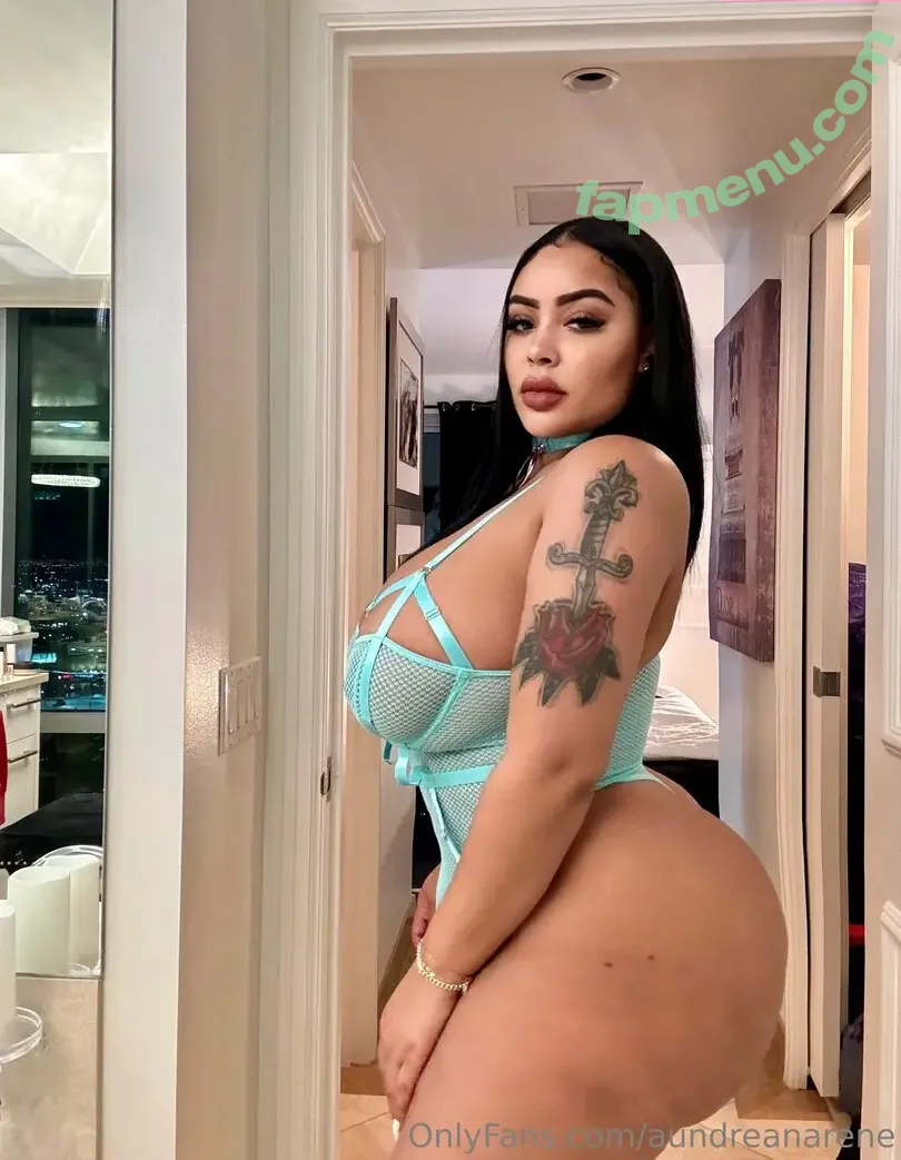 aundreanarene nude photo #0033 (aundreanarene)
