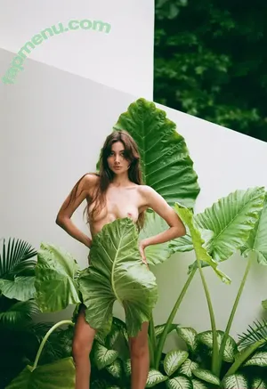 ave.estel / ave.estel.wild nude photo #0009