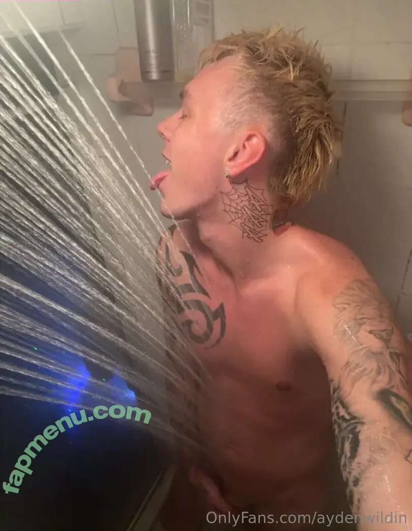 aydenwildin nude photo #0001 (aydenwildin)