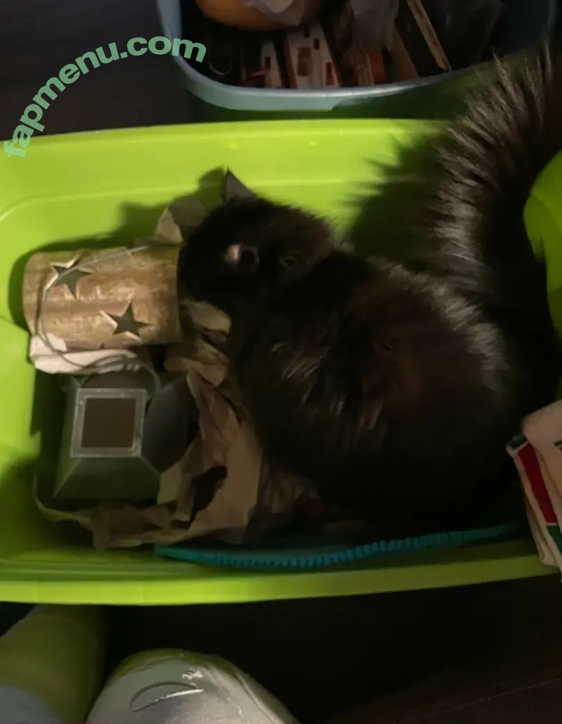 baby_bell_cheesie nude photo #0004 (baby_bell_cheesie)