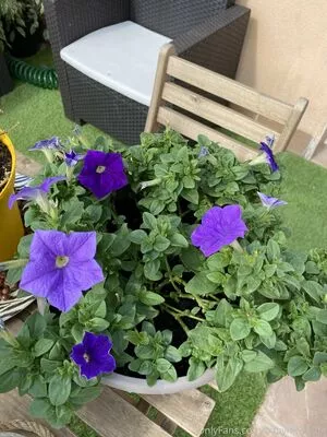 babynicolslife / babynicolsoficial nude photo #0313