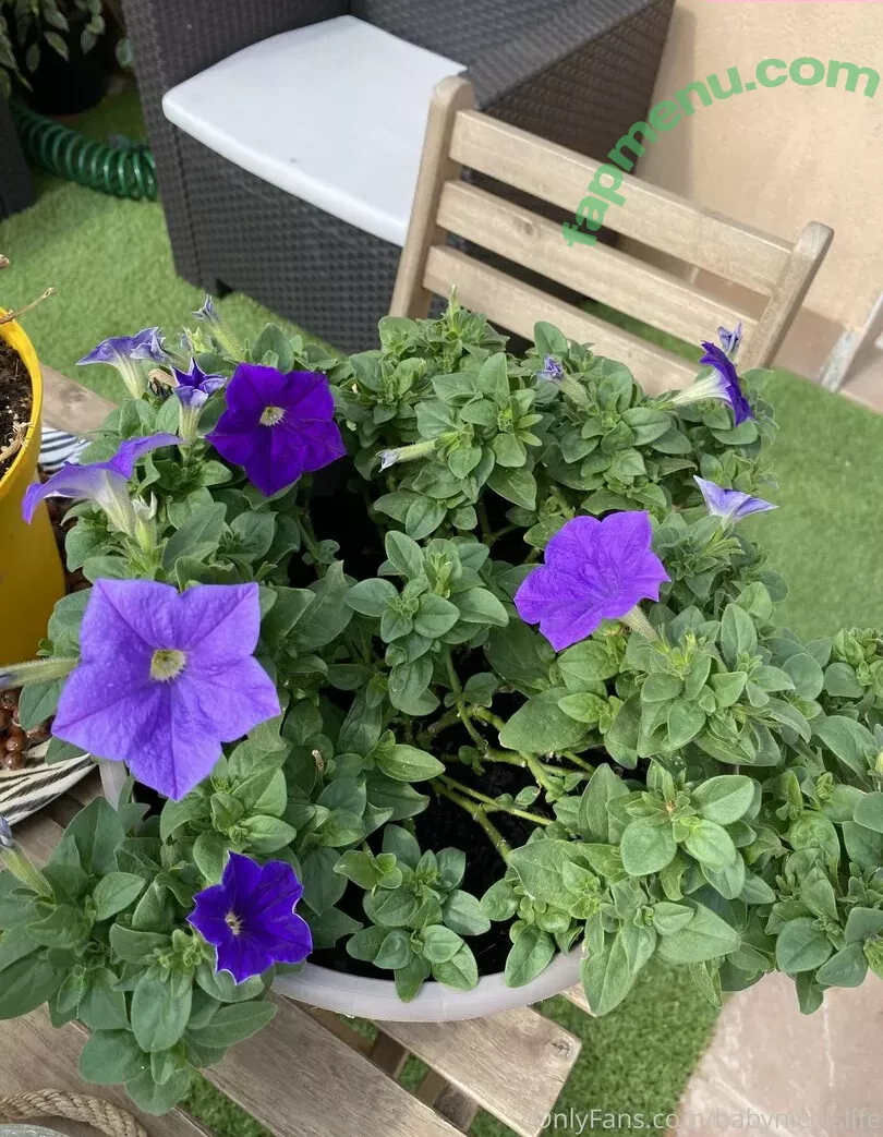 babynicolslife nude photo #0313 (babynicolsoficial)