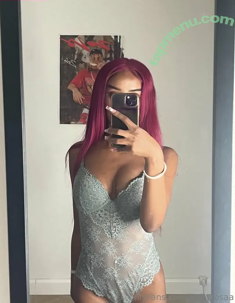 babyrosaa nude photo #0029 (bby_rosa__)