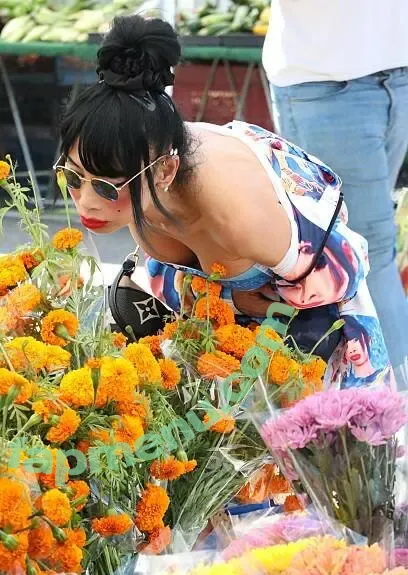 Bai Ling nude photo #1783 (RealBaiLing / iambailing)