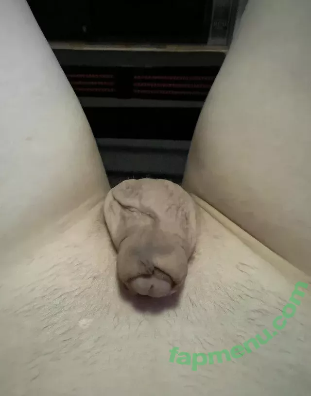 BaileyAbunai nude photo #0004 (tinkerbail)