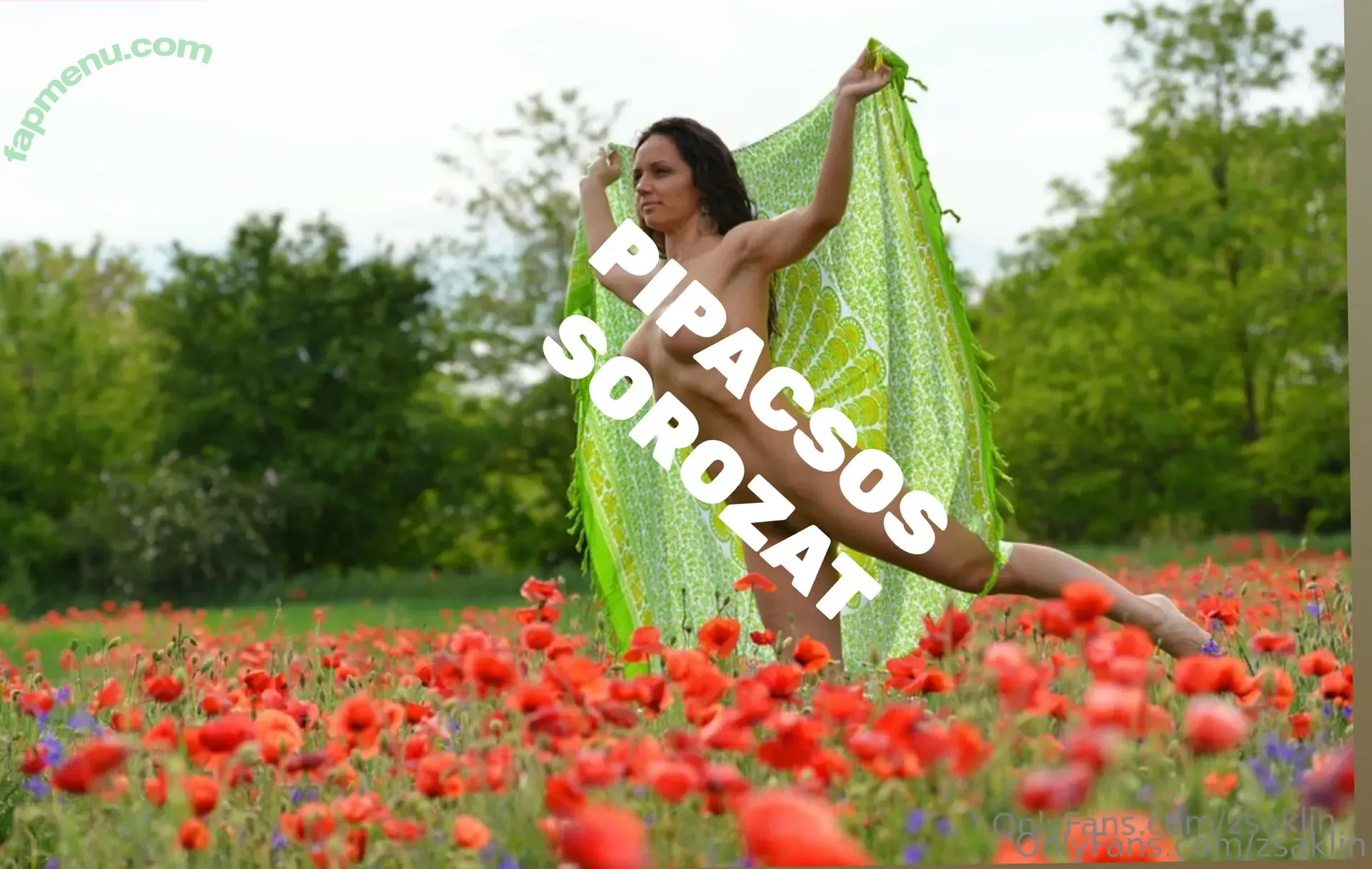 Baranyai Lányok nude photo #0127 (alexandra_loki)