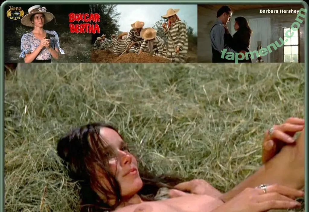 Barbara Hershey nude photo #0036 (barbarahershey8)