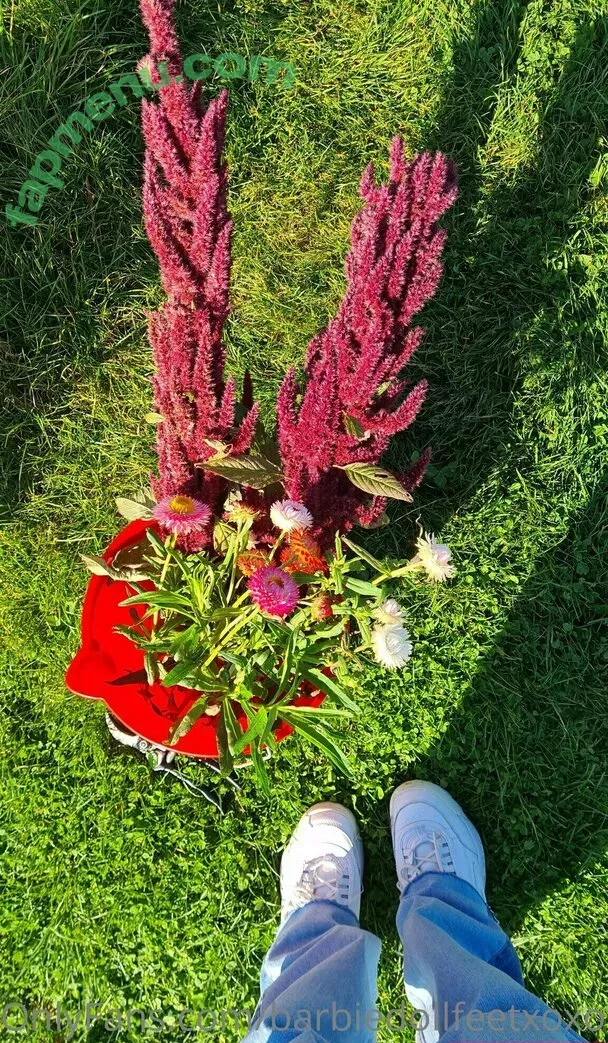 barbiedollfeetxoxofree nude photo #0016 (xblackdoll)