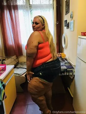 barbiessbbw / ssbbwbarbie nude photo #0119