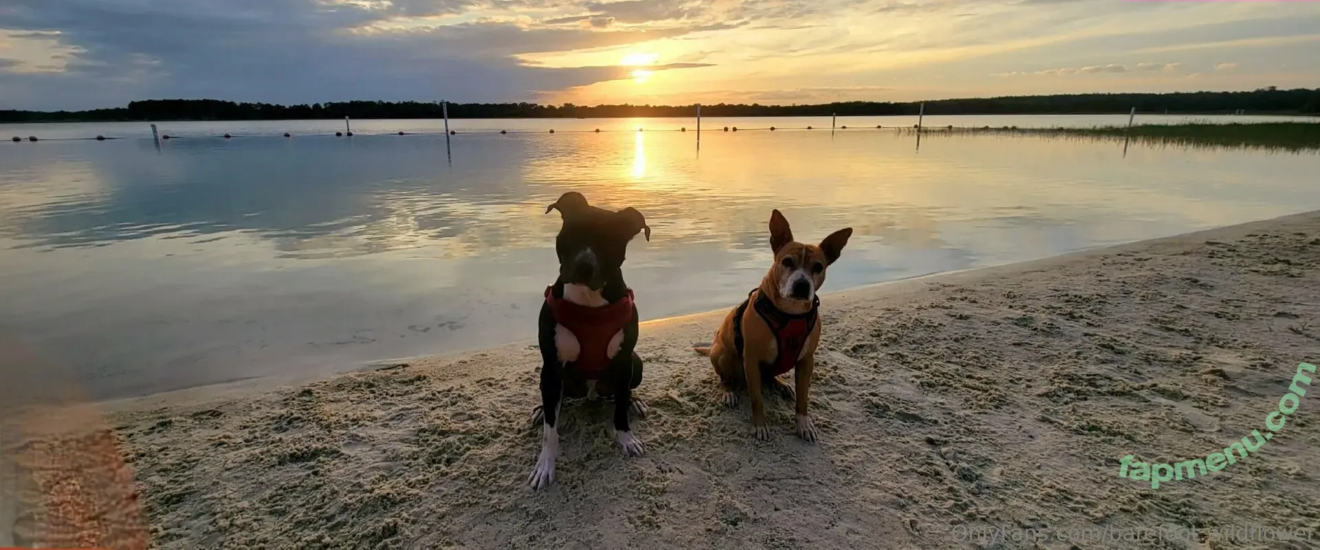 barefoot.wildflower nude photo #0012 (barefoot.wildflower)