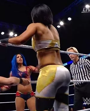 Bayley / Pamela Rose Martinez / bayley.r / itsmebayley nude photo #0069