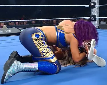 Bayley / Pamela Rose Martinez / bayley.r / itsmebayley nude photo #1271