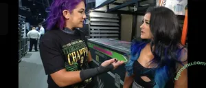 Bayley / Pamela Rose Martinez / bayley.r / itsmebayley nude photo #1657