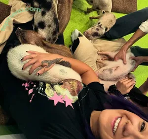 Bayley / Pamela Rose Martinez / bayley.r / itsmebayley nude photo #1762