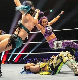 Bayley / Pamela Rose Martinez / bayley.r / itsmebayley nude photo #1784