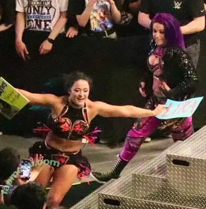 Bayley / Pamela Rose Martinez / bayley.r / itsmebayley nude photo #1787