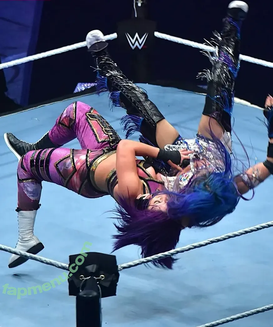 Bayley nude photo #1757 (Pamela Rose Martinez / bayley.r / itsmebayley)