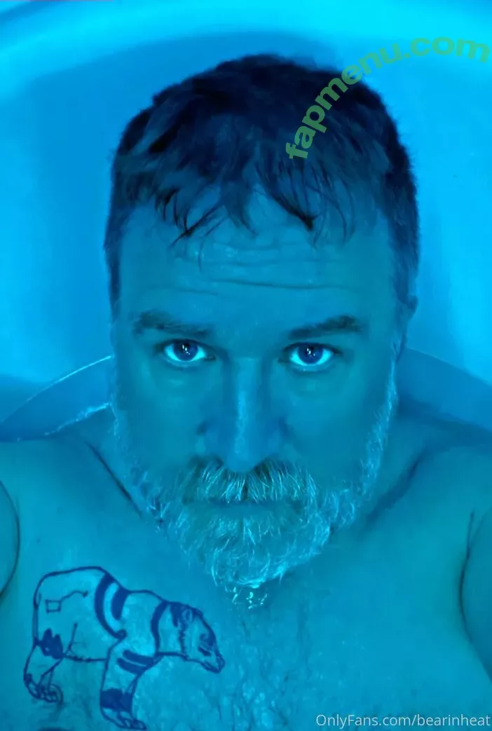 bearinheat nude photo #0078 (bearinheat)