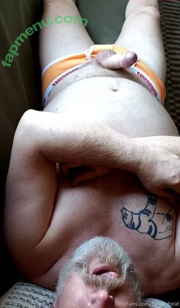 bearinheat nude photo #0185 (bearinheat)