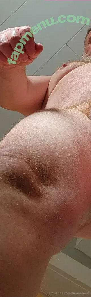 bearinheat nude photo #0301 (bearinheat)