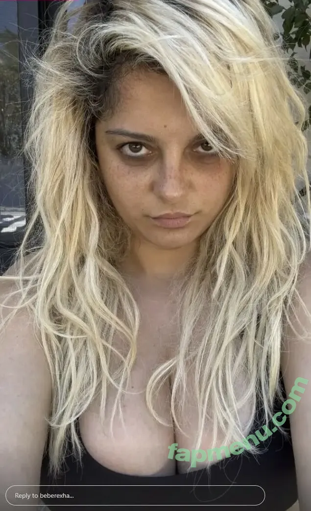 Bebe Rexha nude photo #1024 (beberexha / skylinevexx)