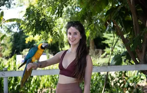 Bella Donna / bellatrixortreat2 / btrixortreat nude photo #0288