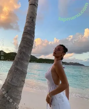 Bella Hadid / OfficialBellaHadid / bellahadid nude photo #0244