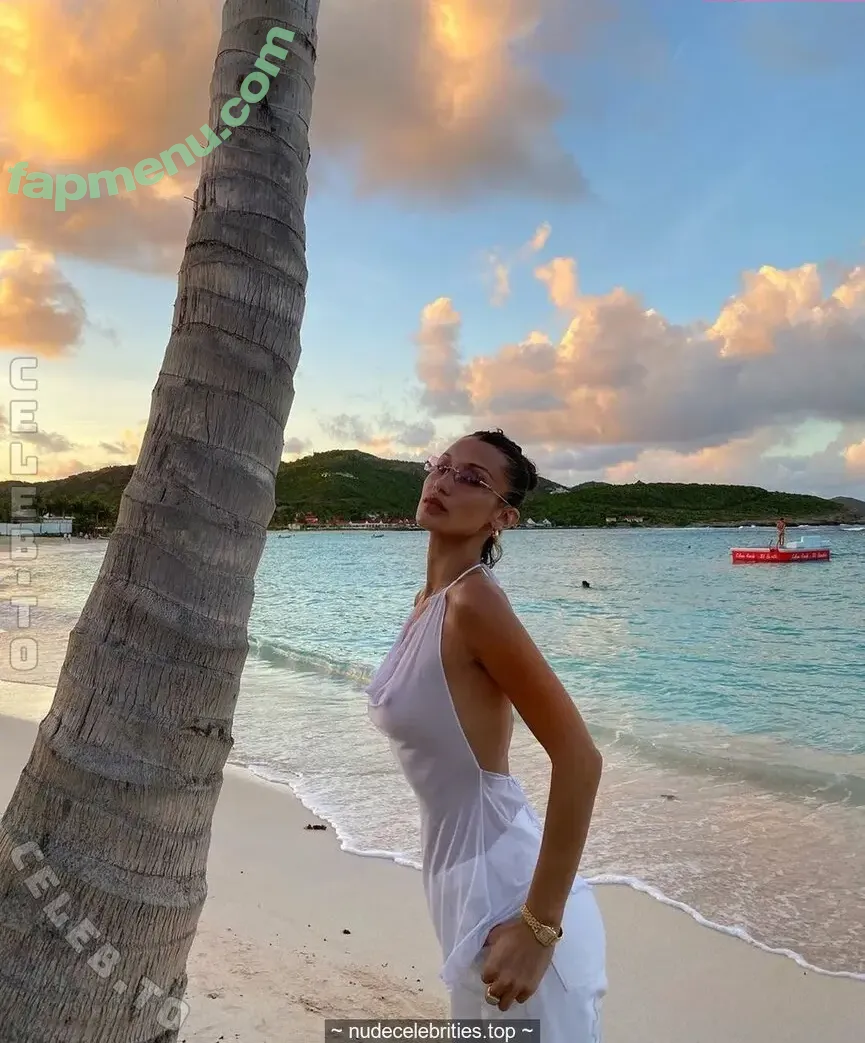 Bella Hadid nude photo #0243 (OfficialBellaHadid / bellahadid)