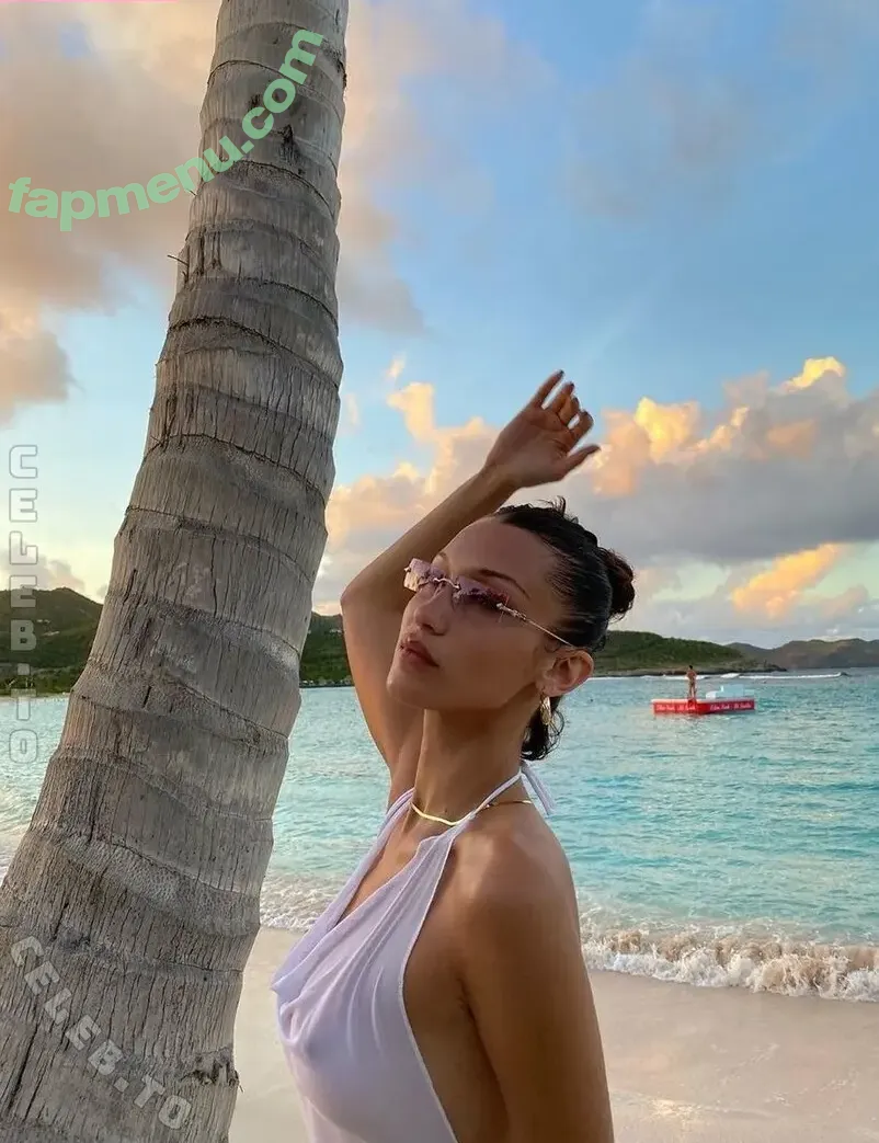 Bella Hadid nude photo #0246 (OfficialBellaHadid / bellahadid)