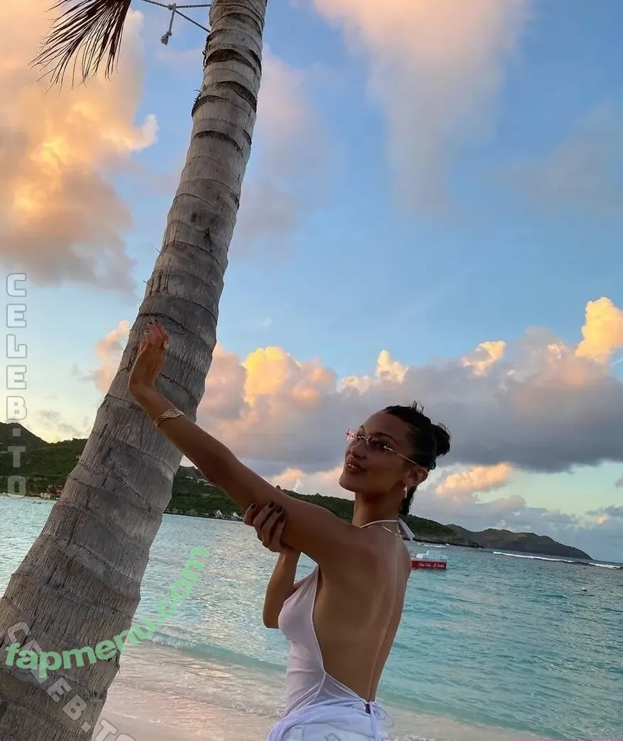 Bella Hadid nude photo #0248 (OfficialBellaHadid / bellahadid)