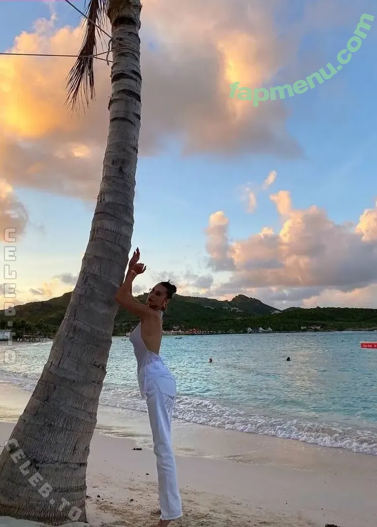 Bella Hadid nude photo #0252 (OfficialBellaHadid / bellahadid)
