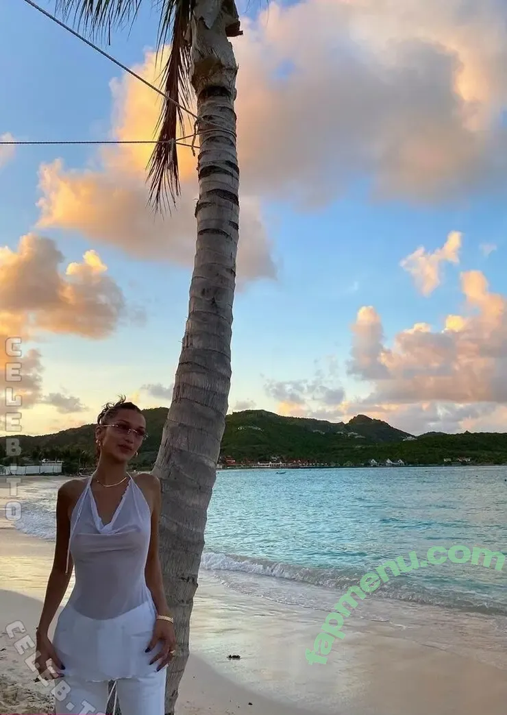 Bella Hadid nude photo #0255 (OfficialBellaHadid / bellahadid)