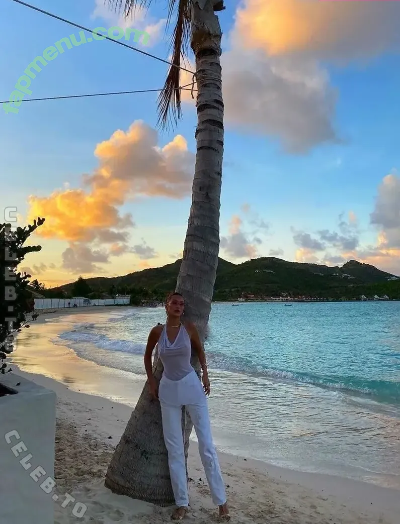 Bella Hadid nude photo #0258 (OfficialBellaHadid / bellahadid)