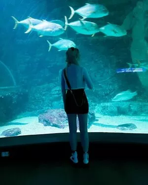 Berticuss / Britnyellen / biancasotelo14 nude photo #0178