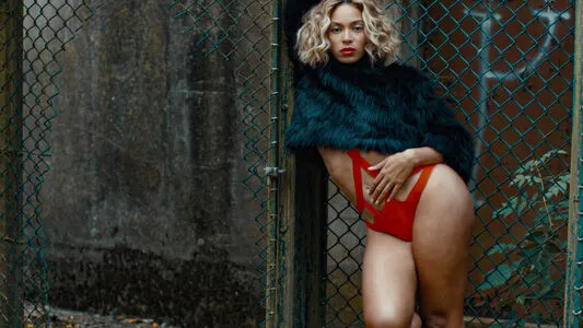 Beyonce / Beyoncé nude photo #0886