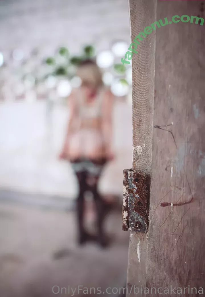 Bianca Karina nude photo #1270 (Biawhite / biancakariina / biancakarina)
