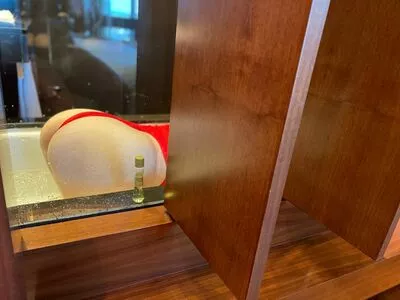 bichota69sexting / 69_bichota / adaharavip / kyliestepsister nude photo #0060