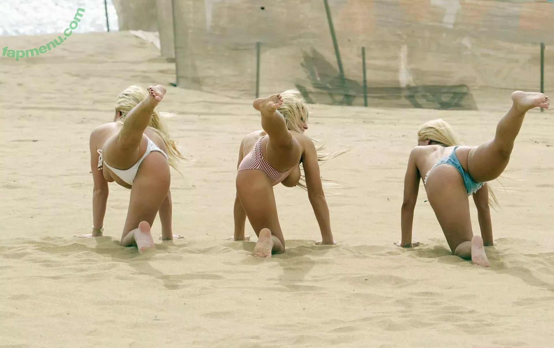 Big Brother Girls nude photo #0201 (bigbrothercbs / meanychristiney)