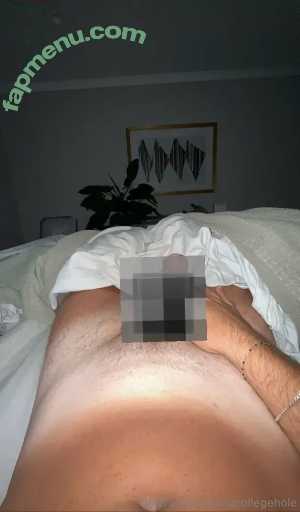bigcollegehole nude photo #0015 (bigcollegehole)